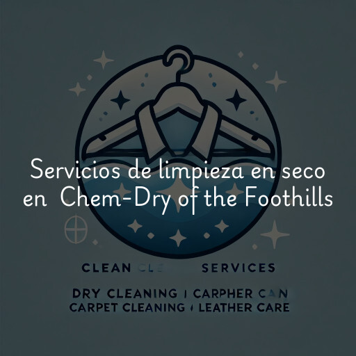 Servicios de limpieza en seco en Chem-Dry of the Foothills