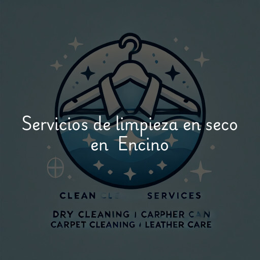 Servicios de limpieza en seco en Encino