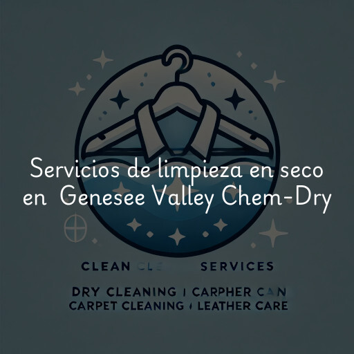 Servicios de limpieza en seco en Genesee Valley Chem-Dry
