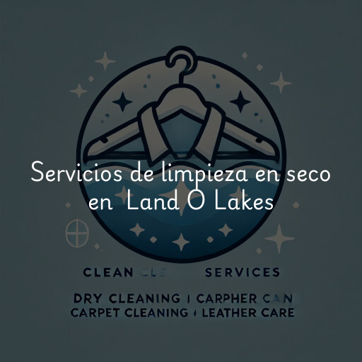 Servicios de limpieza en seco en Land O Lakes