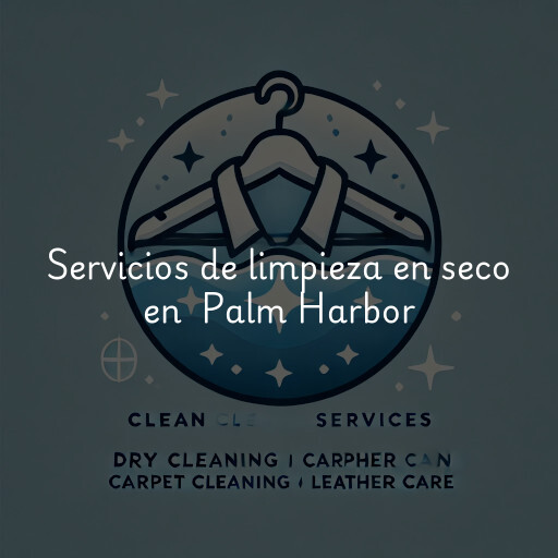 Servicios de limpieza en seco en Palm Harbor