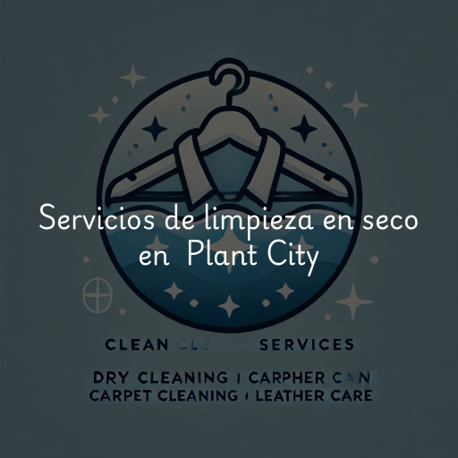 Servicios de limpieza en seco en Plant City