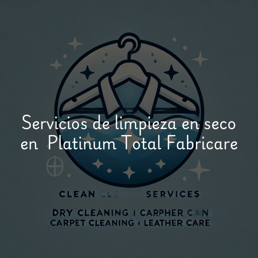Servicios de limpieza en seco en Platinum Total Fabricare