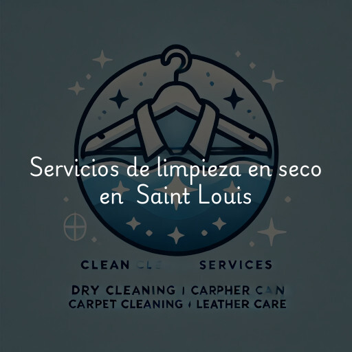 Servicios de limpieza en seco en Saint Louis