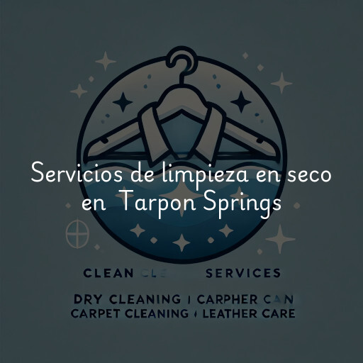 Servicios de limpieza en seco en Tarpon Springs