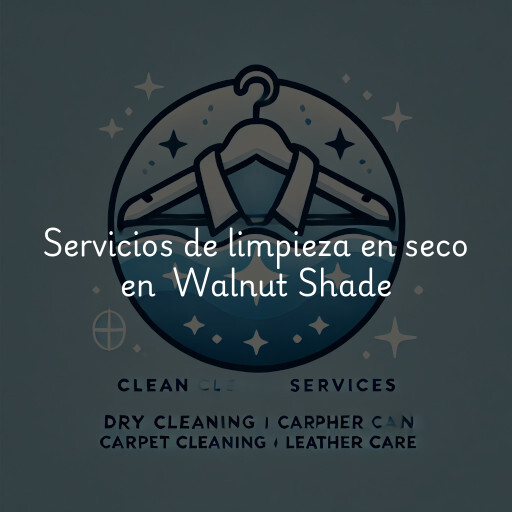 Servicios de limpieza en seco en Walnut Shade