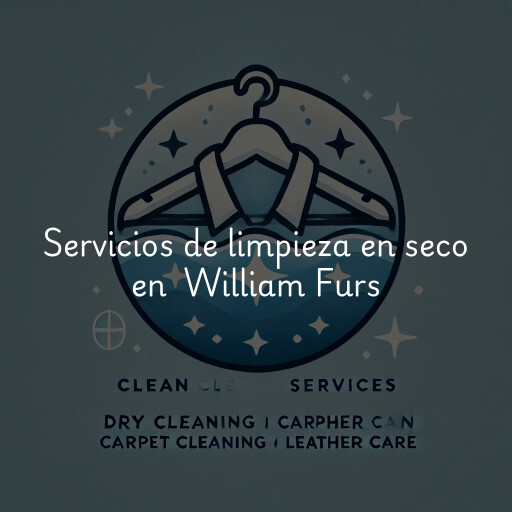 Servicios de limpieza en seco en William Furs