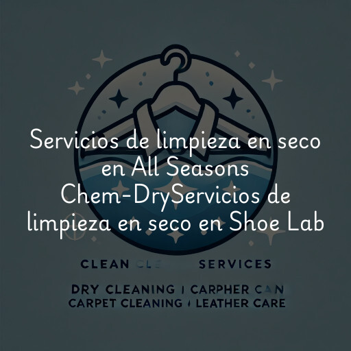 Servicios de limpieza en seco en