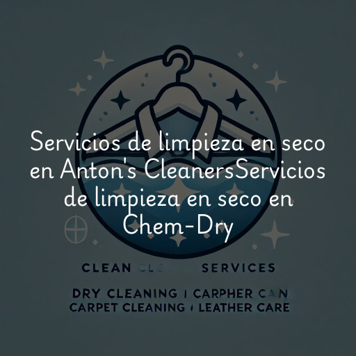 Servicios de limpieza en seco en
