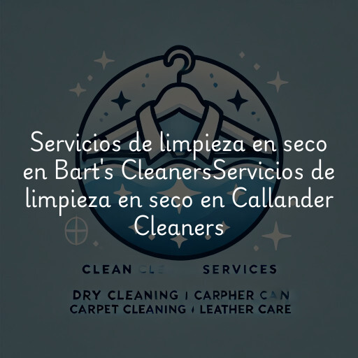 Servicios de limpieza en seco en