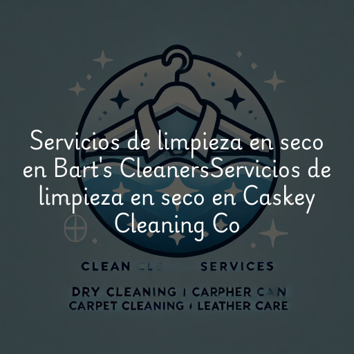 Servicios de limpieza en seco en