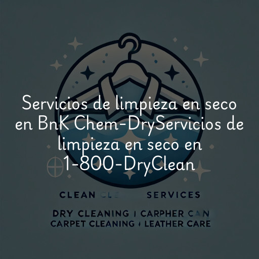 Servicios de limpieza en seco en