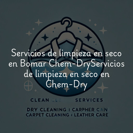 Servicios de limpieza en seco en