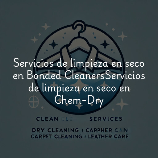 Servicios de limpieza en seco en