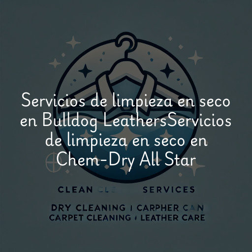 Servicios de limpieza en seco en