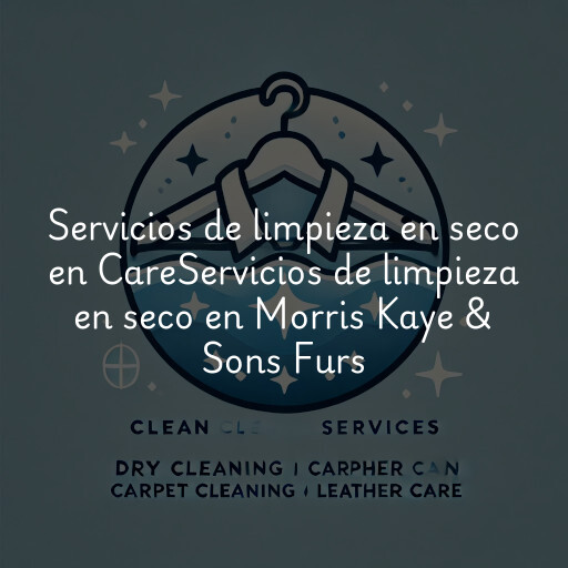 Servicios de limpieza en seco en