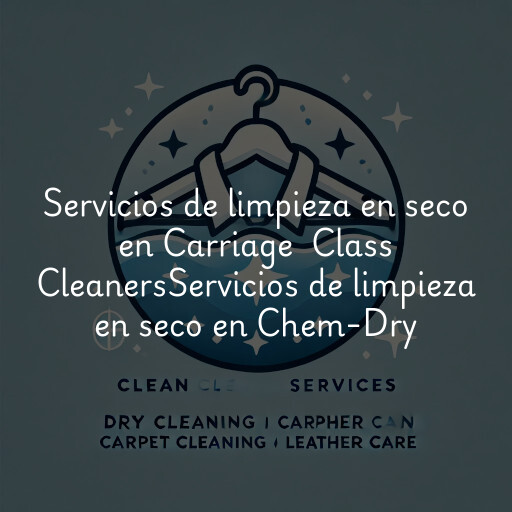 Servicios de limpieza en seco en
