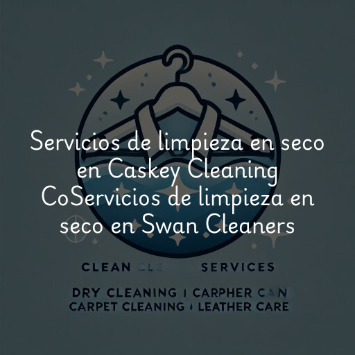 Servicios de limpieza en seco en
