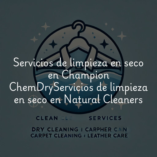 Servicios de limpieza en seco en