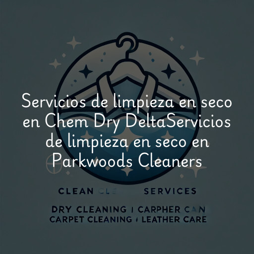 Servicios de limpieza en seco en