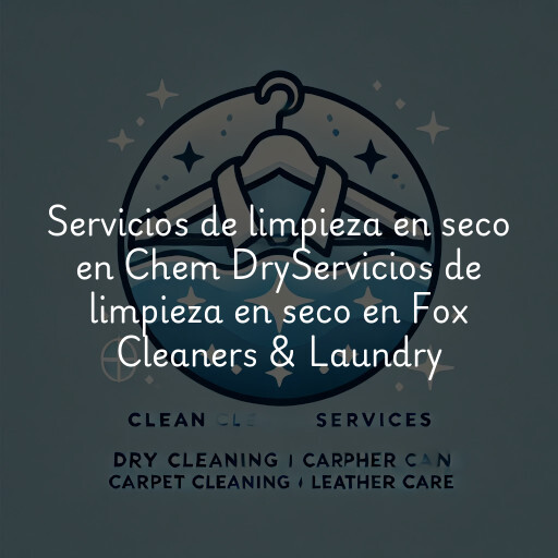Servicios de limpieza en seco en