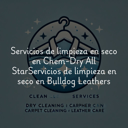 Servicios de limpieza en seco en