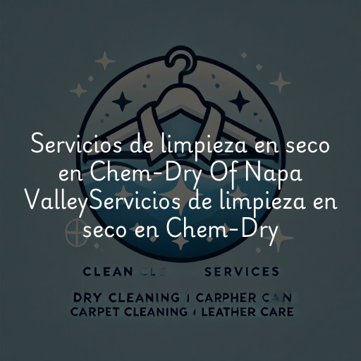 Servicios de limpieza en seco en