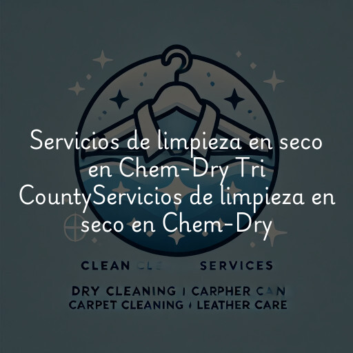 Servicios de limpieza en seco en
