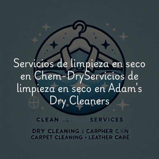 Servicios de limpieza en seco en
