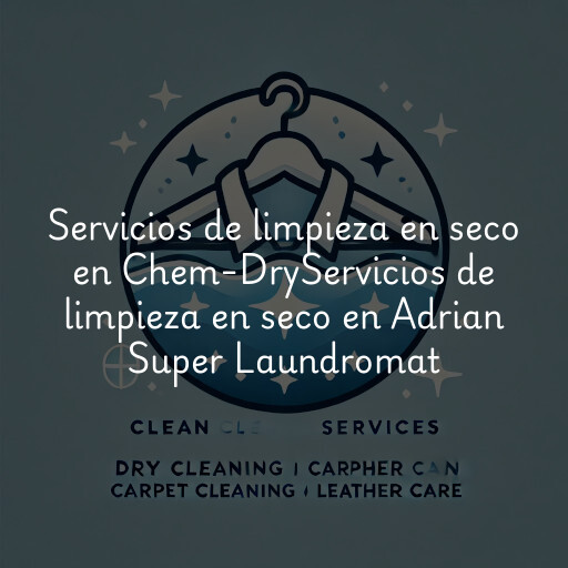 Servicios de limpieza en seco en