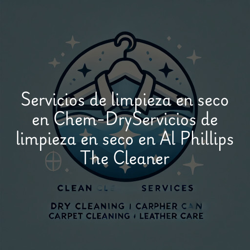 Servicios de limpieza en seco en