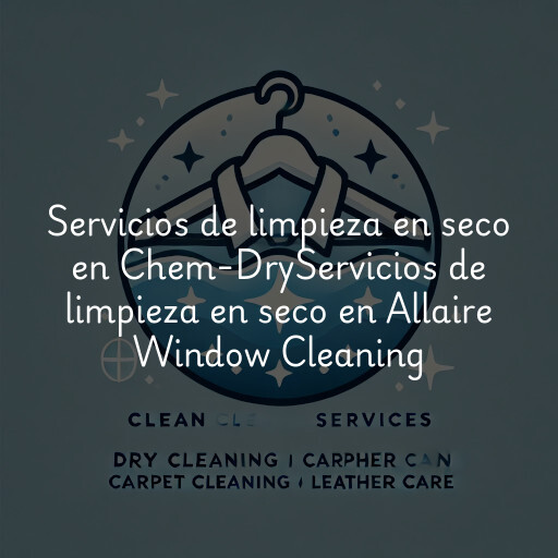 Servicios de limpieza en seco en