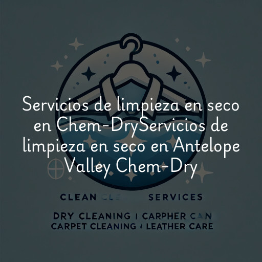 Servicios de limpieza en seco en