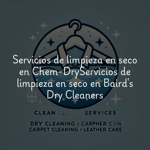 Servicios de limpieza en seco en
