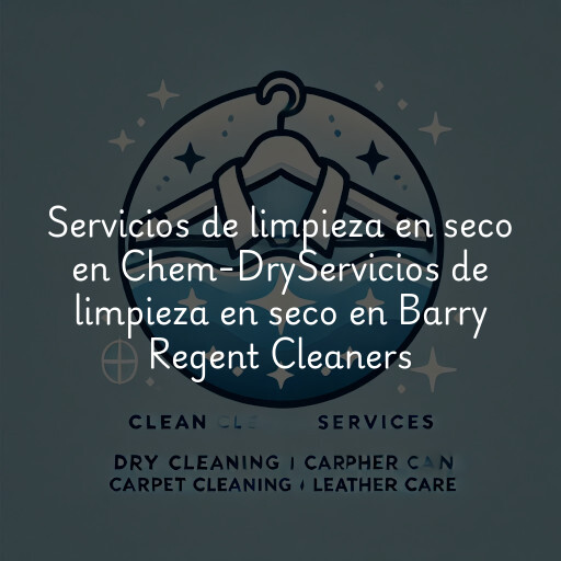 Servicios de limpieza en seco en