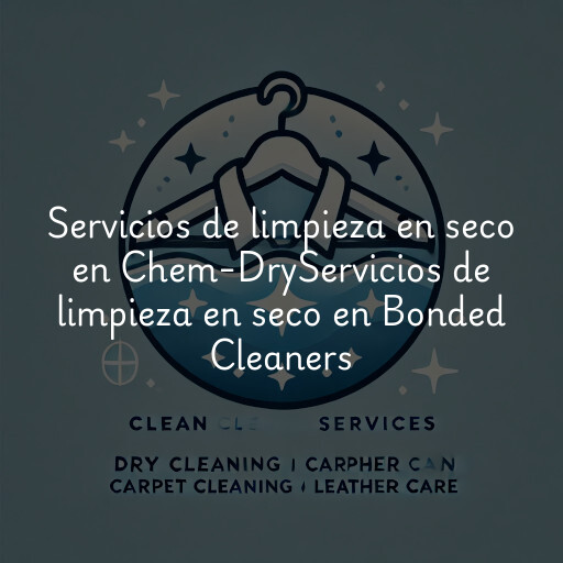 Servicios de limpieza en seco en