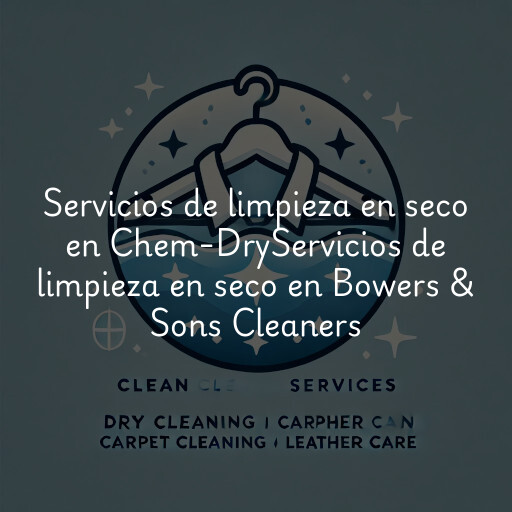 Servicios de limpieza en seco en