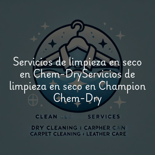 Servicios de limpieza en seco en