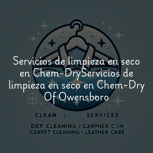 Servicios de limpieza en seco en