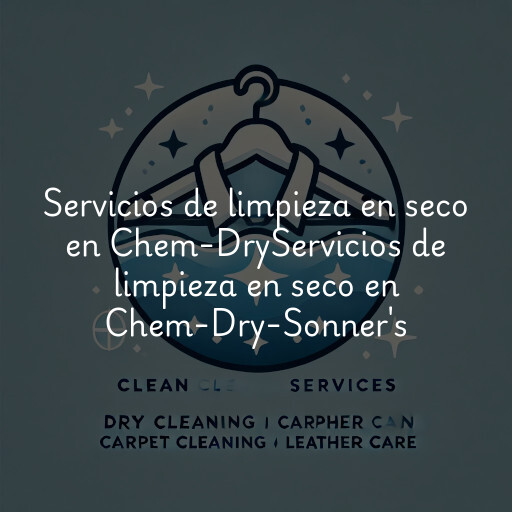 Servicios de limpieza en seco en