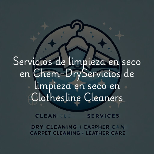 Servicios de limpieza en seco en