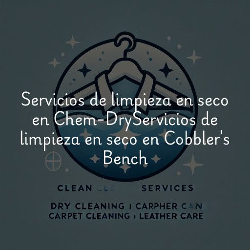 Servicios de limpieza en seco en
