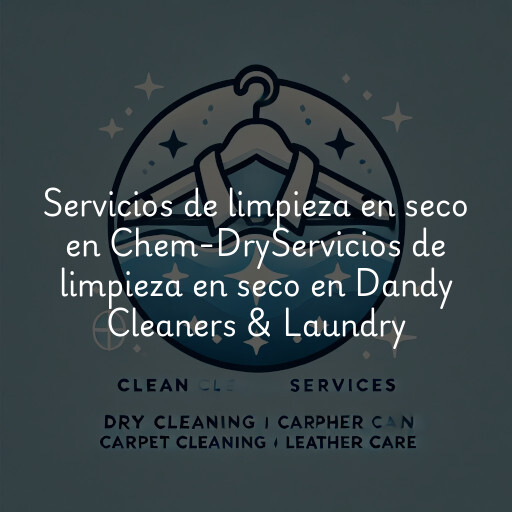 Servicios de limpieza en seco en
