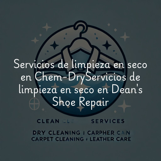 Servicios de limpieza en seco en