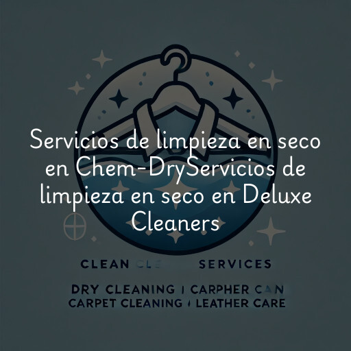 Servicios de limpieza en seco en