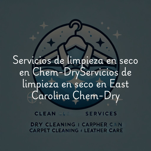 Servicios de limpieza en seco en