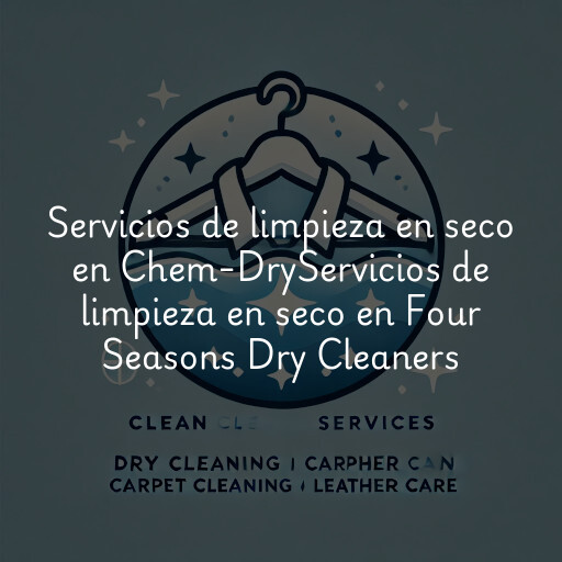 Servicios de limpieza en seco en