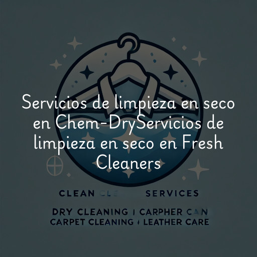 Servicios de limpieza en seco en