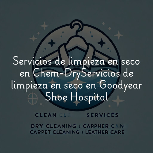 Servicios de limpieza en seco en