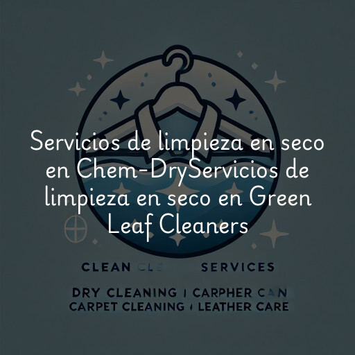 Servicios de limpieza en seco en